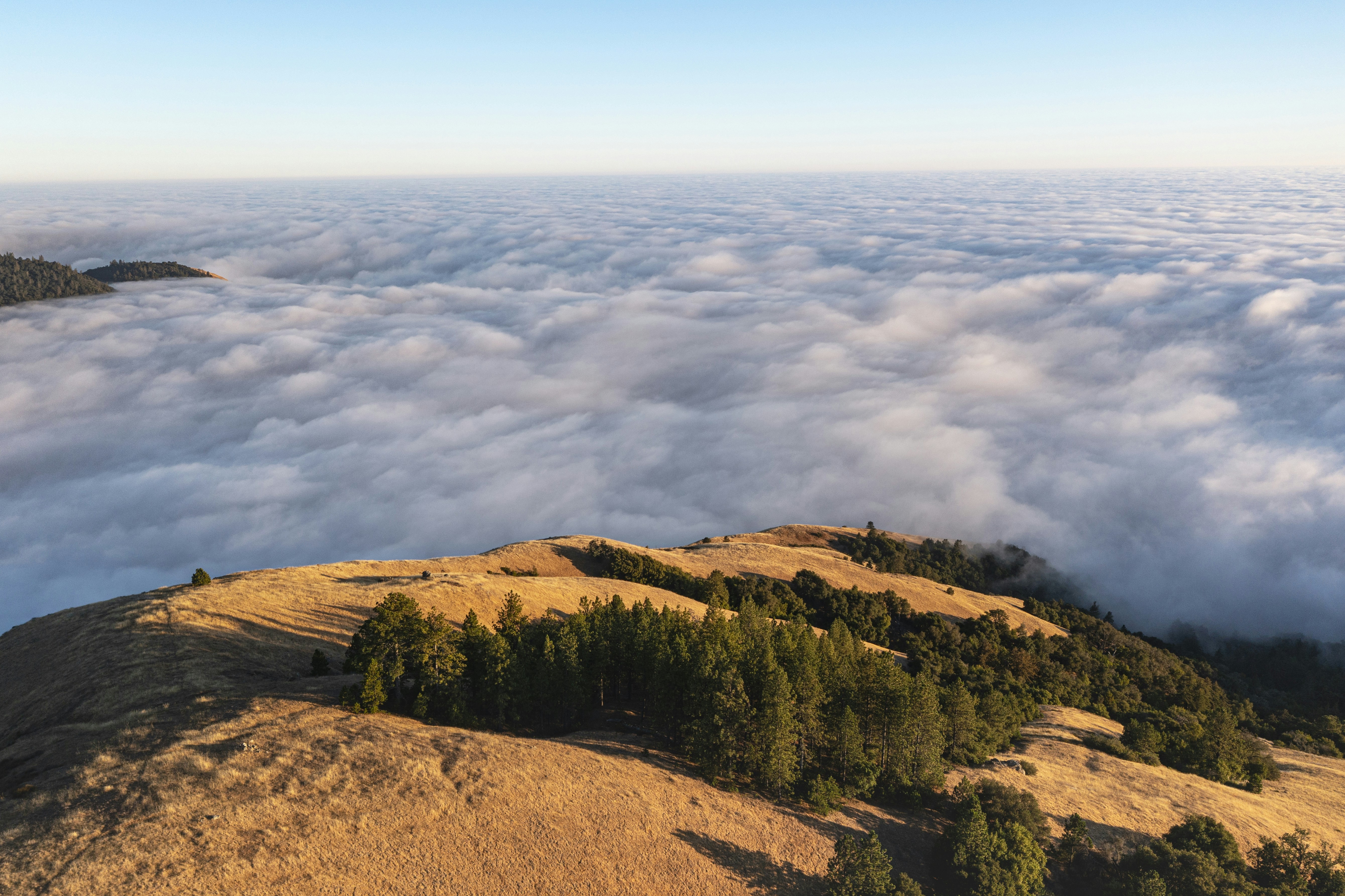 Photo by leo_visions_