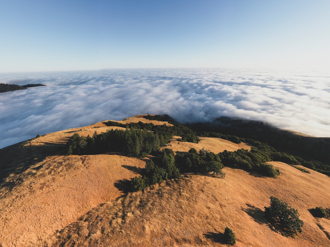 brown and green mountain under blue sky during daytime