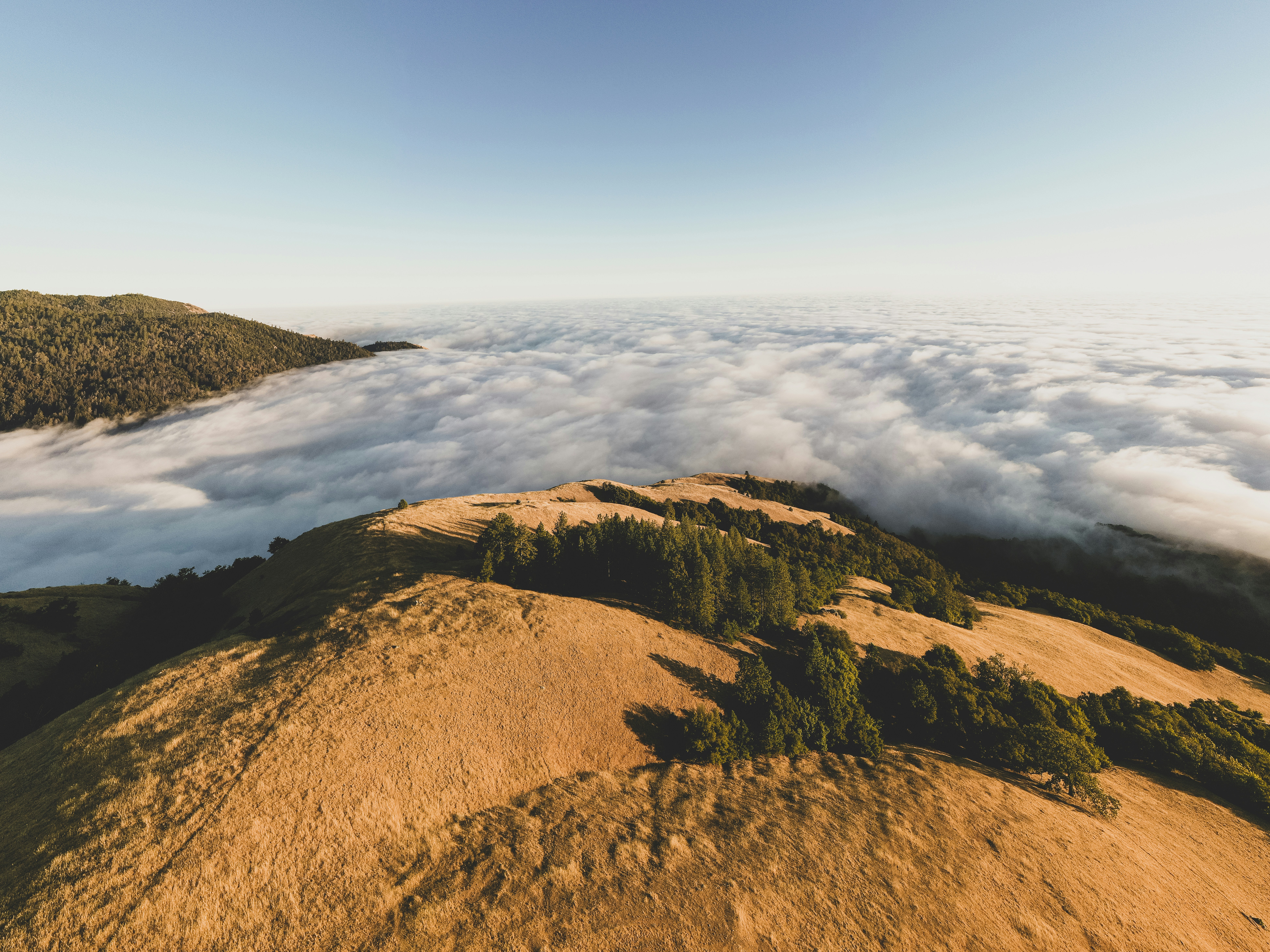 Photo by leo_visions_