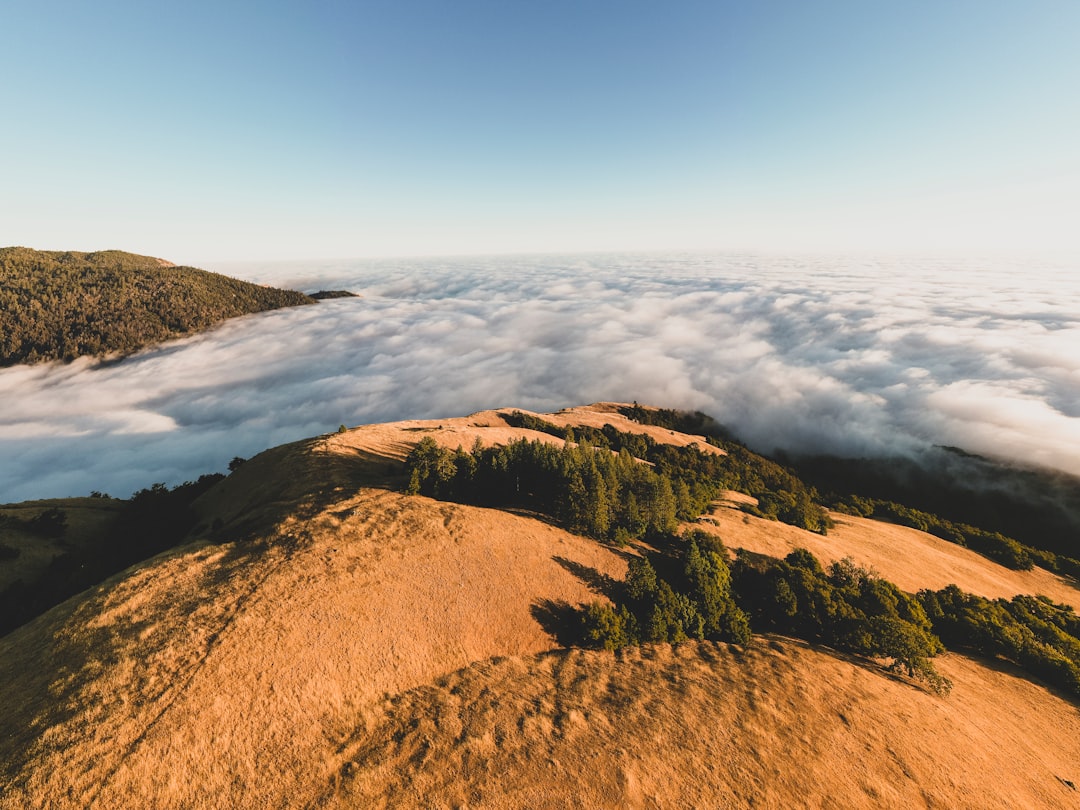 brown and green mountains under blue sky during daytime