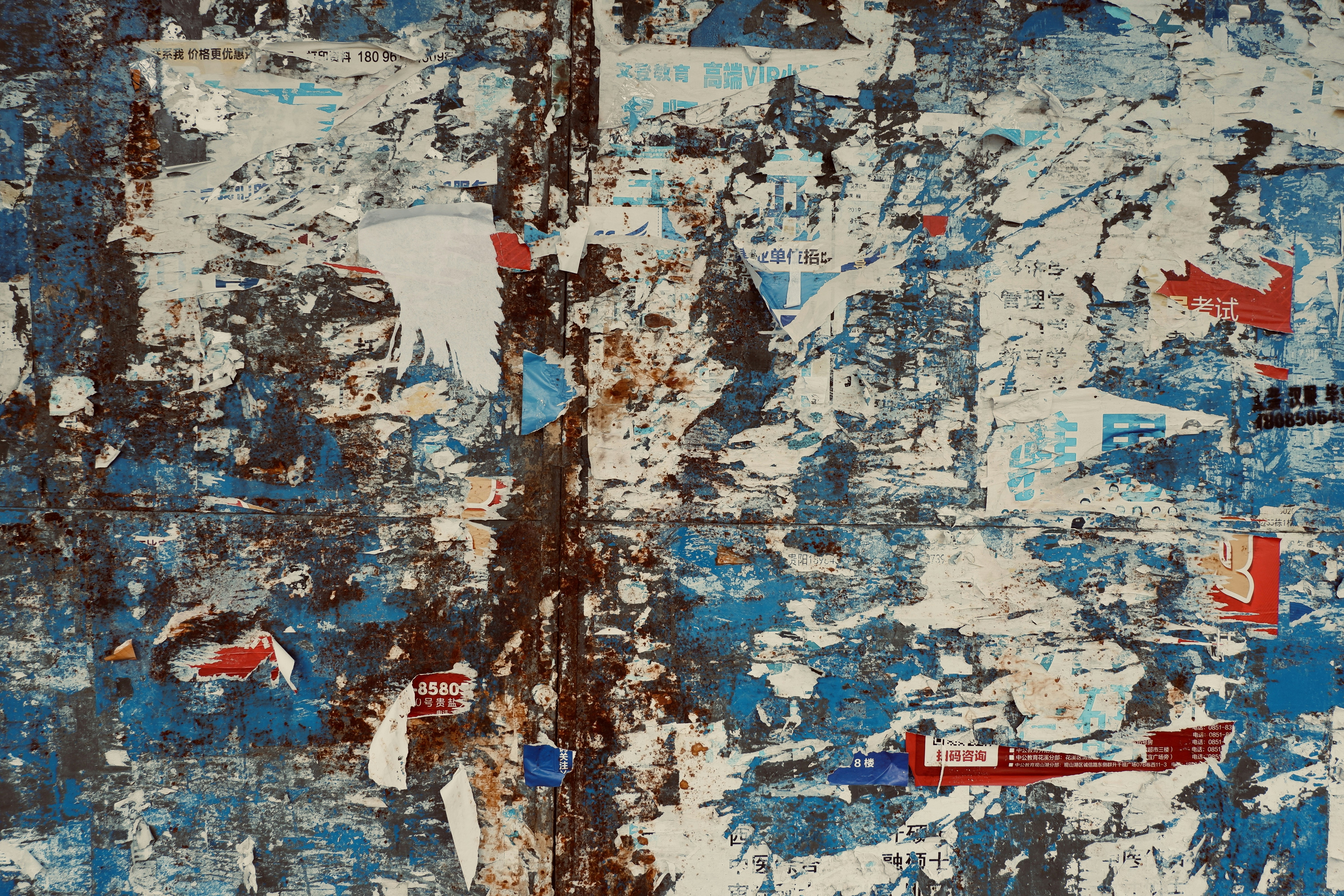 Photo by sunriseking