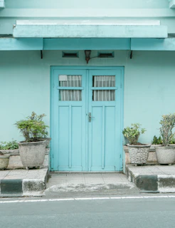 blue wooden door beside green potted plant