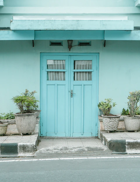 blue wooden door beside green potted plant