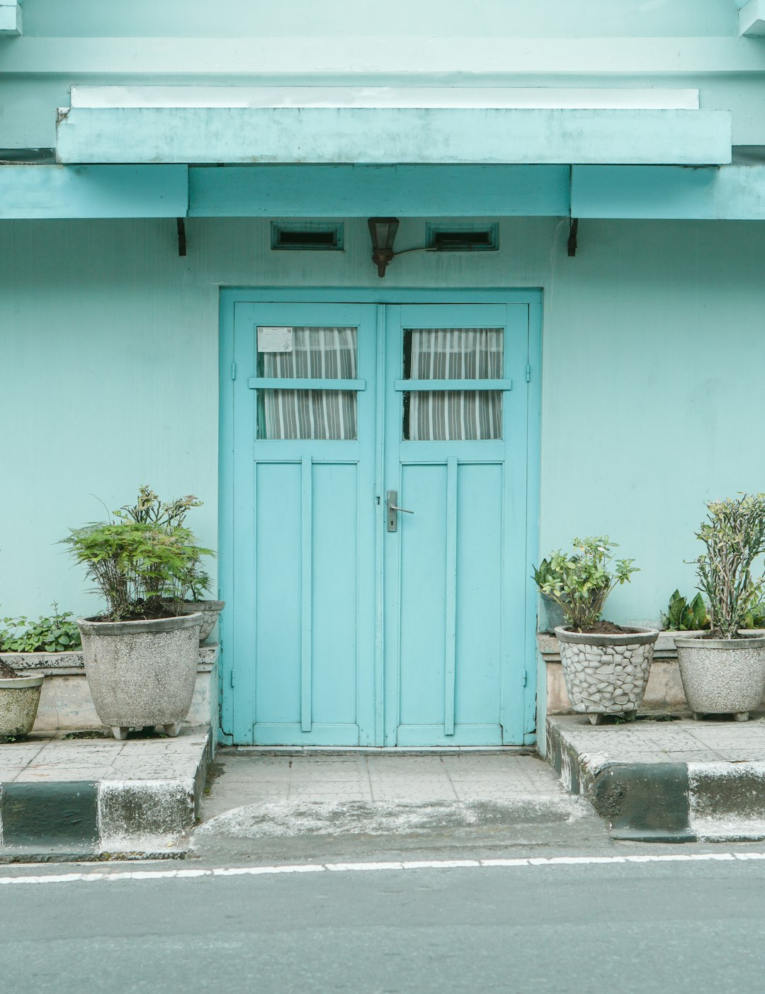 blue wooden door beside green potted plant