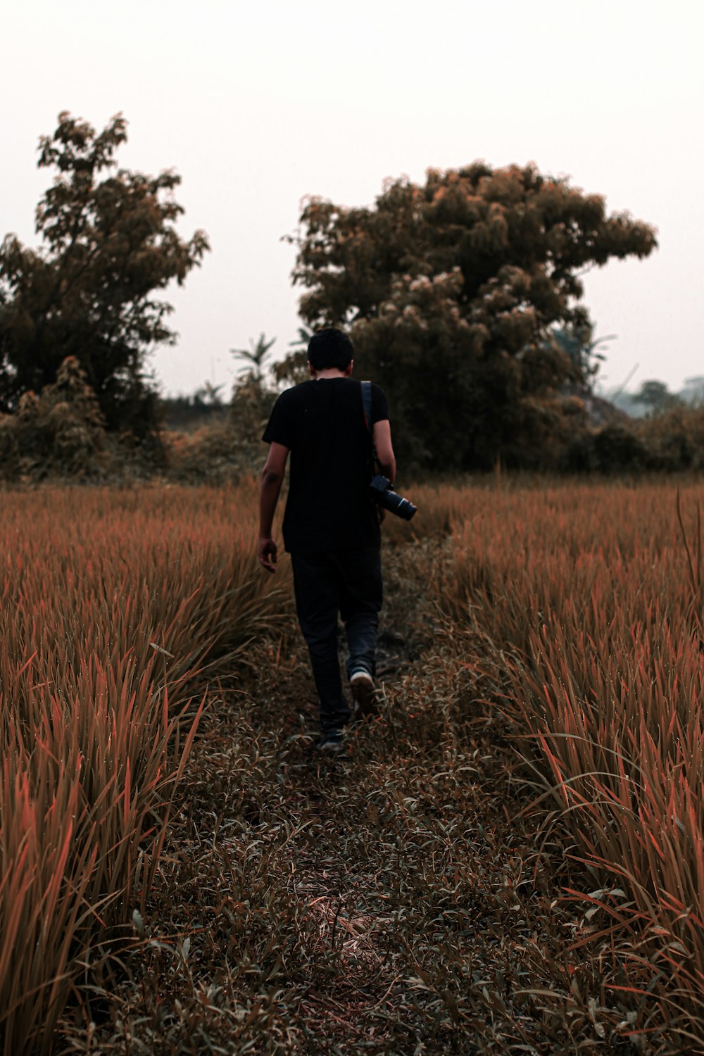 Hombre con camiseta negra y jeans de mezclilla azul caminando en un campo de hierba marrón durante el día