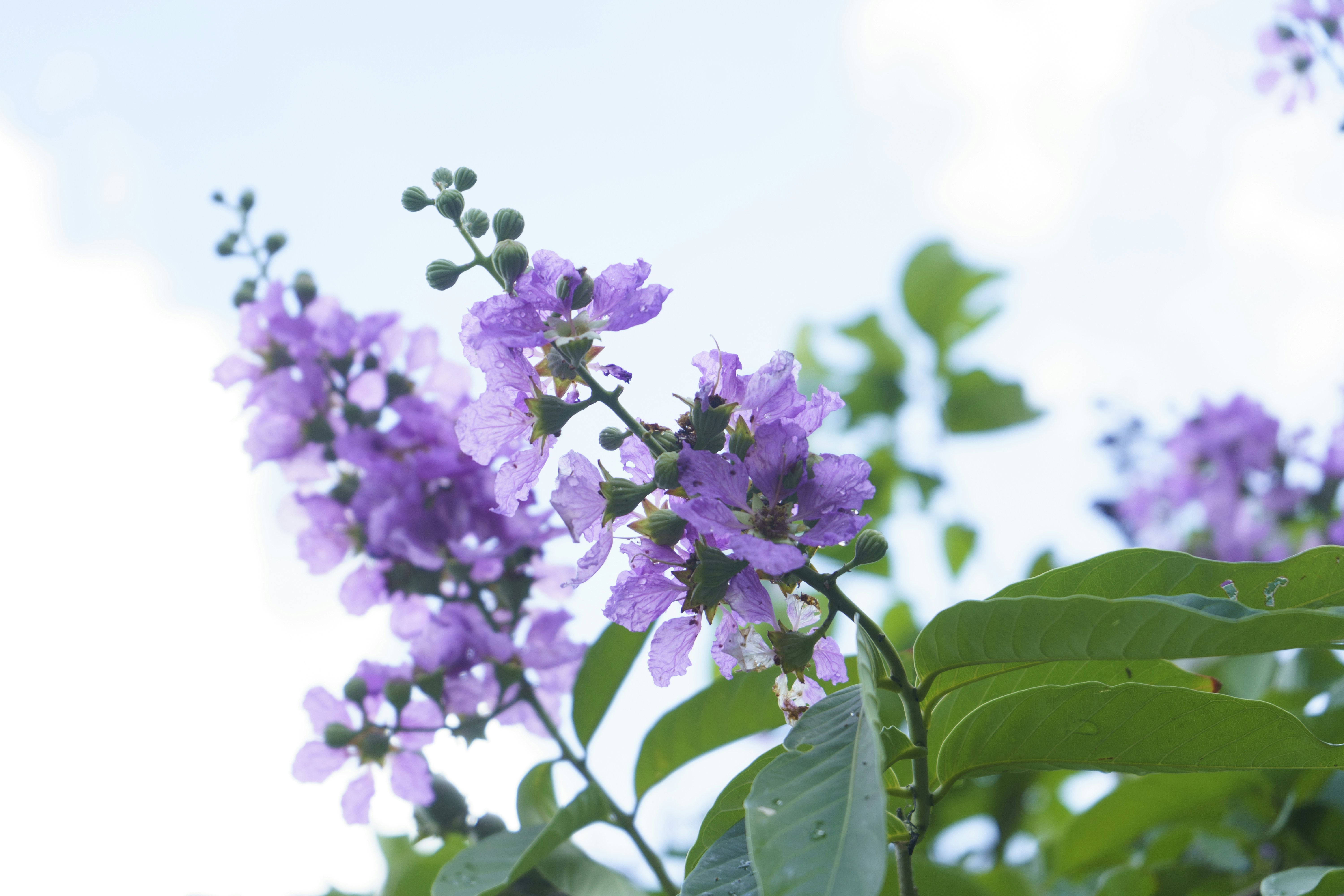 Photo by i_never_retreat_