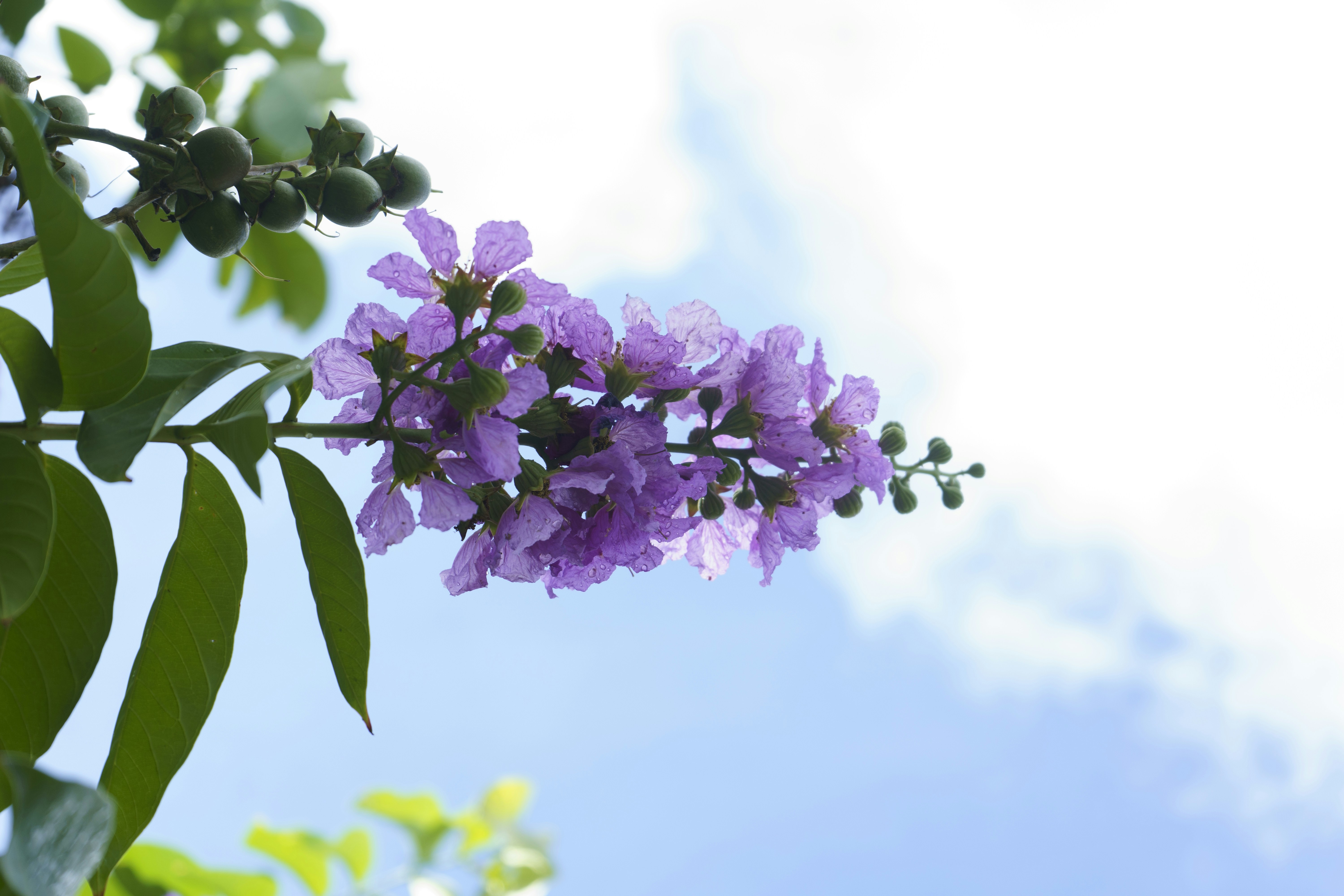 Photo by i_never_retreat_