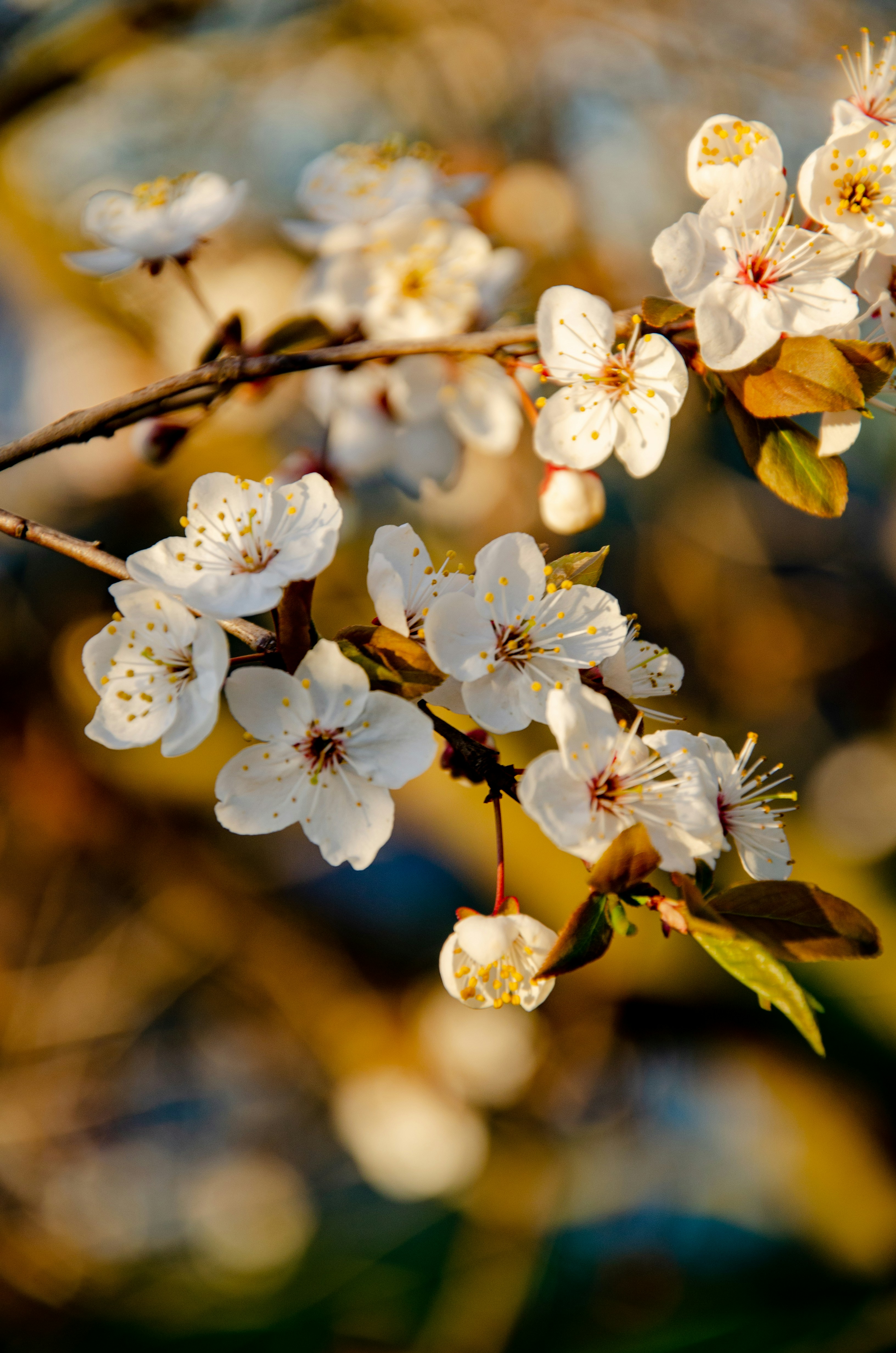 Photo by george_filatov