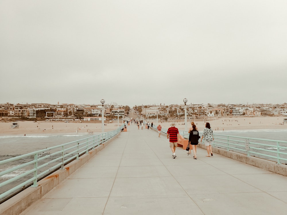 people on beach during daytime