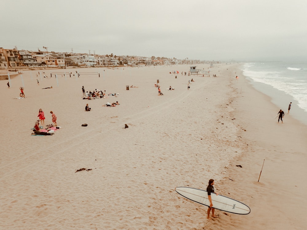 people on beach during daytime