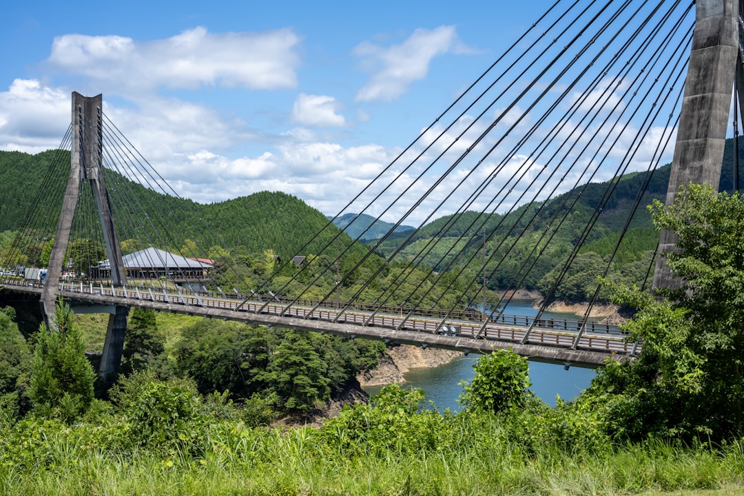 white bridge over river under blue sky during daytime