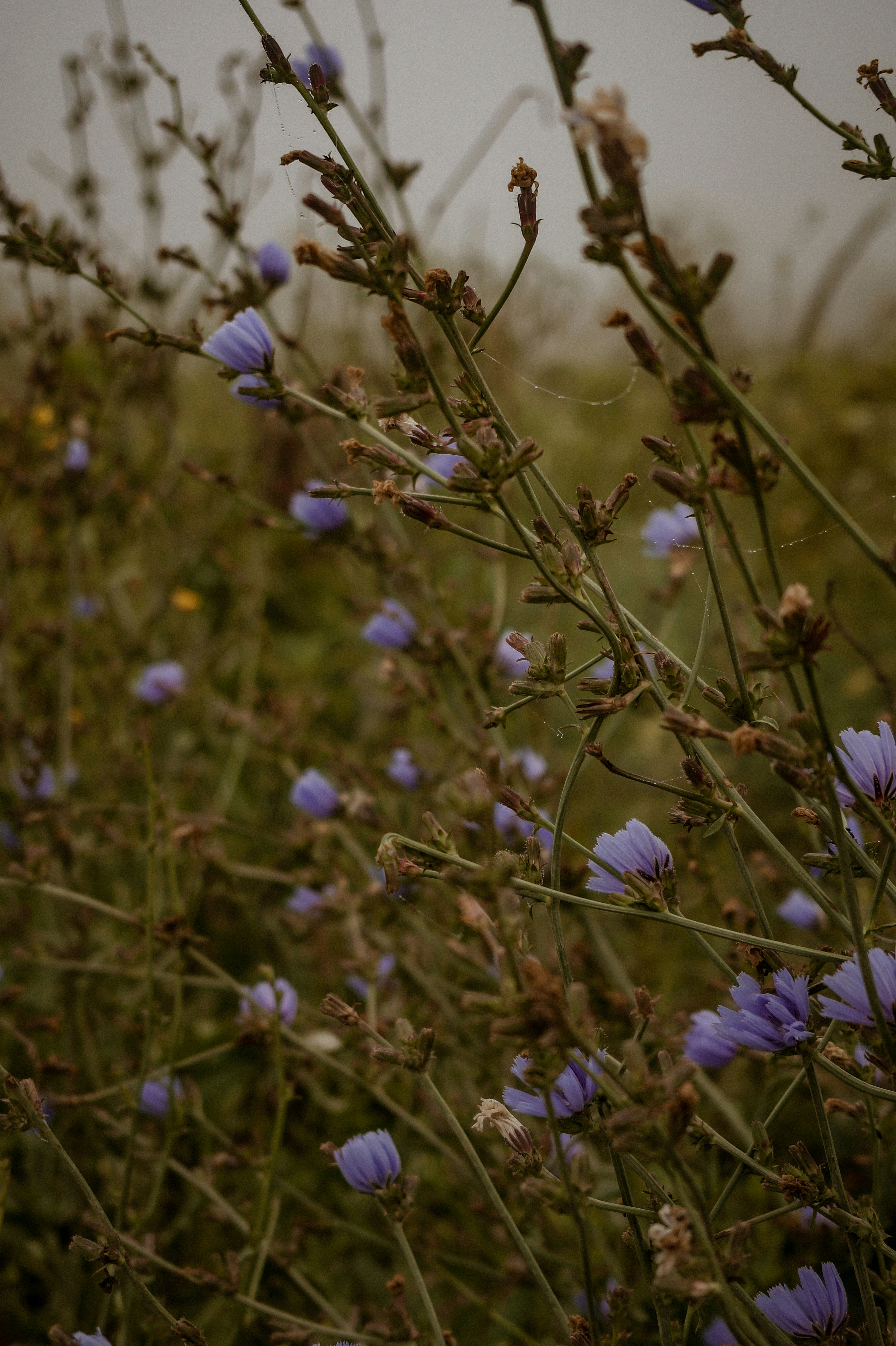 Photo by valentine_ivanova