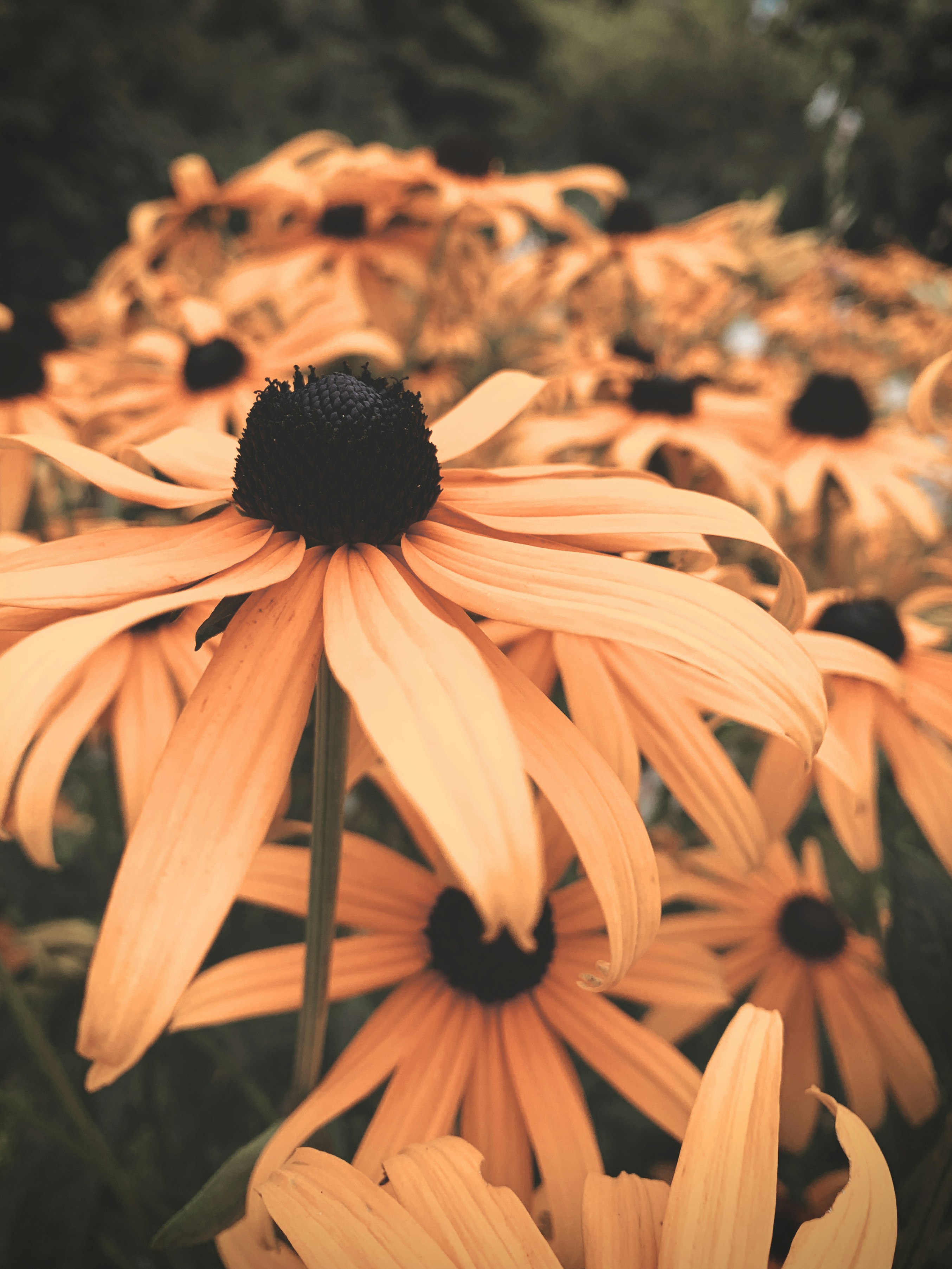Photo by forsjonathan