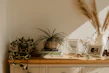 Close-up of stylish home decor items arranged on a wooden table.