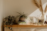 A wooden table adorned with a variety of decorative items including a potted plant with long, thin leaves, a stack of books, a framed photograph, and a vase containing tall, dry grass. Natural light casts soft shadows across the scene, creating a warm and inviting atmosphere.
