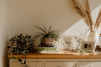 A close-up of a wooden table with decorative items and a welcoming atmosphere.