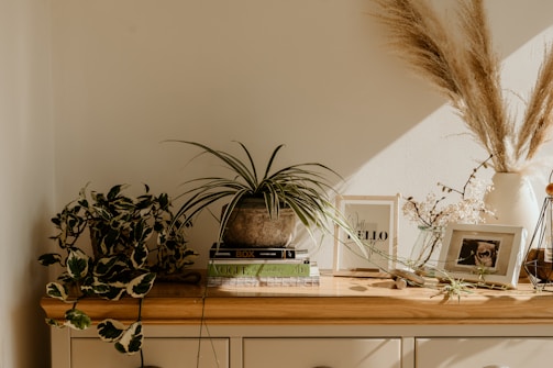 A wooden table adorned with a variety of decorative items including a potted plant with long, thin leaves, a stack of books, a framed photograph, and a vase containing tall, dry grass. Natural light casts soft shadows across the scene, creating a warm and inviting atmosphere.