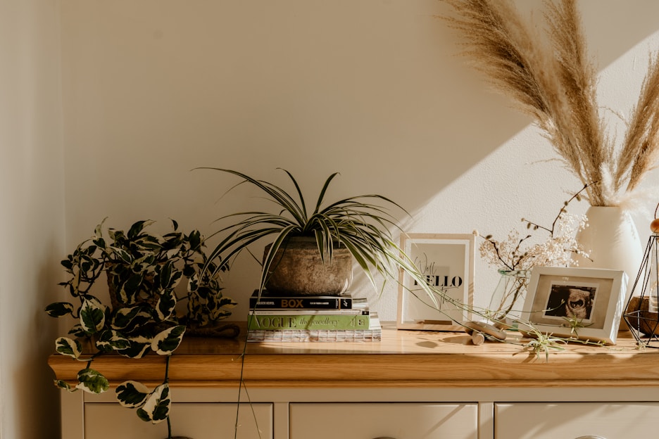 A stylish arrangement of antique and collectible items displayed on a minimalist wooden table with soft natural lighting.