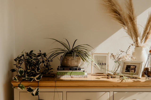 A vibrant flat lay of colorful clothing and natural plant roots arranged on a wooden table, radiating energy and calm.