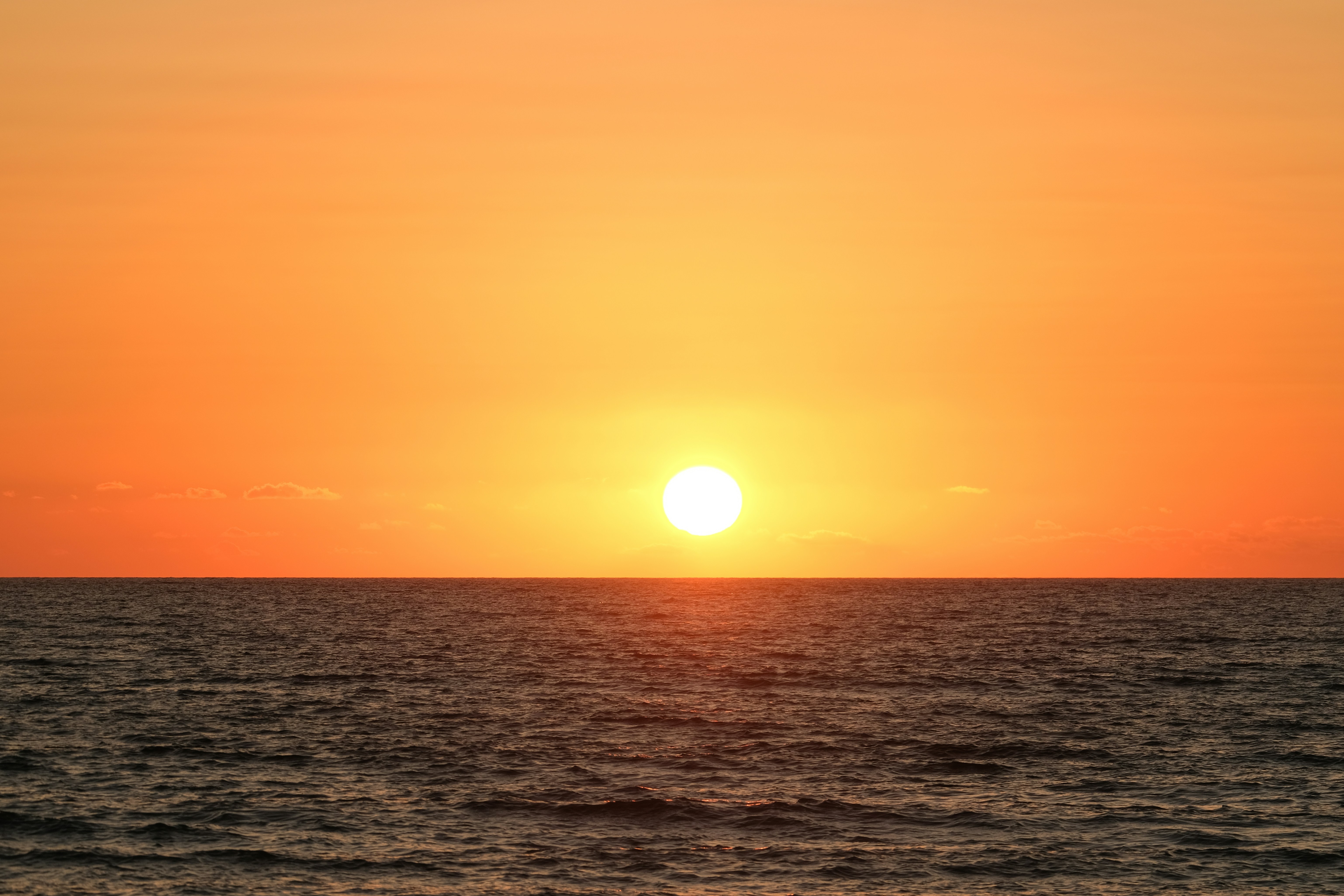 Photo by francesco_ungaro