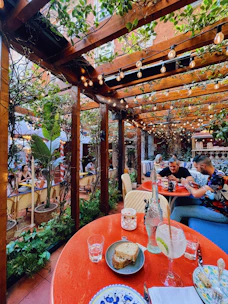 people sitting on chair near green plants during daytime