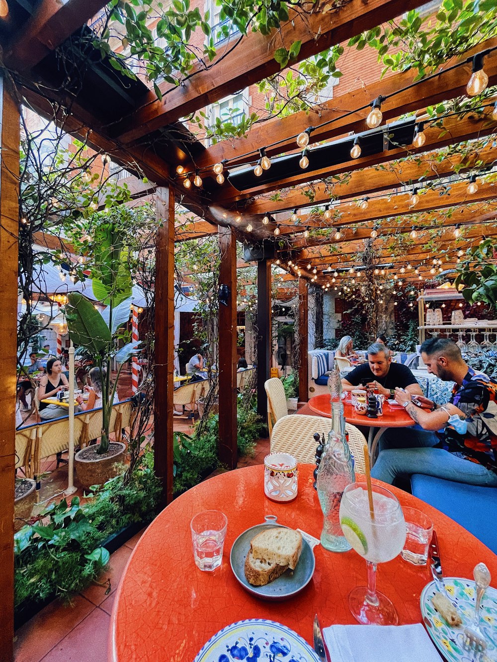 people sitting on chair near green plants during daytime