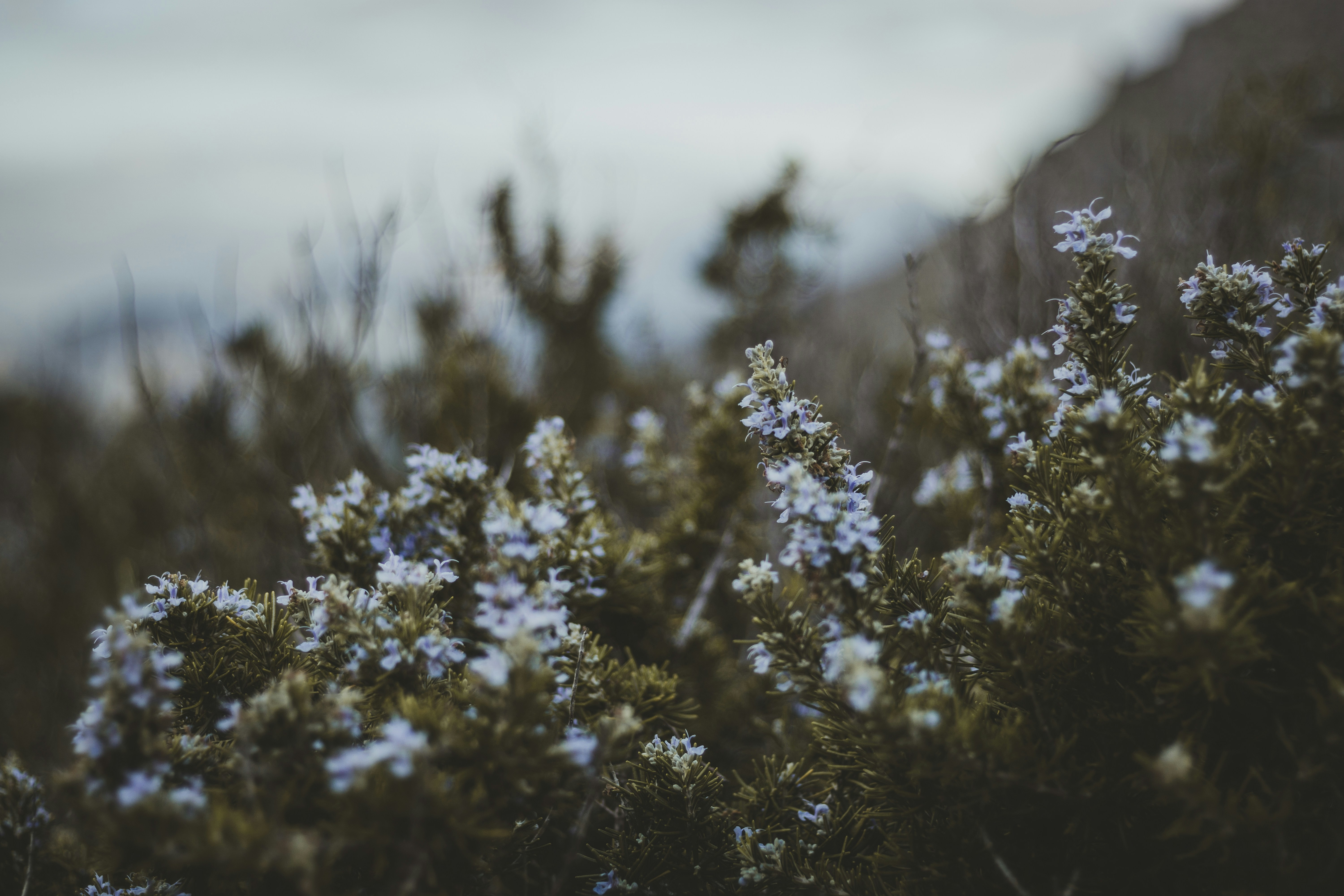 Photo by quentinburbach