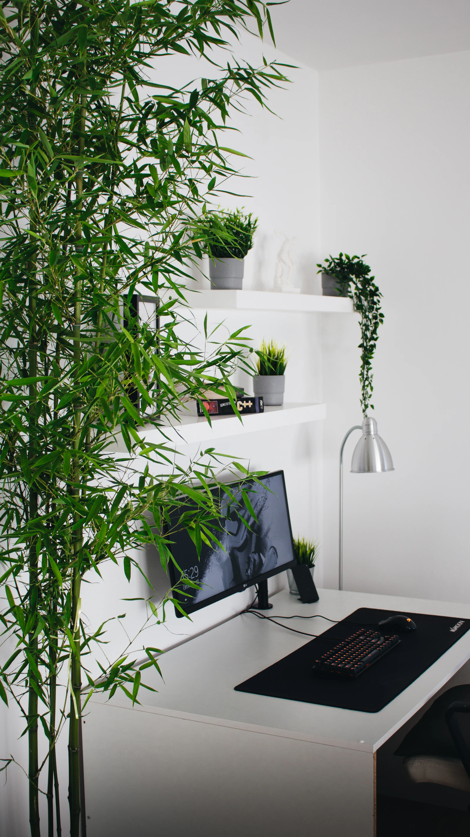 A bright home office where a monitor sits framed by green plants and natural light