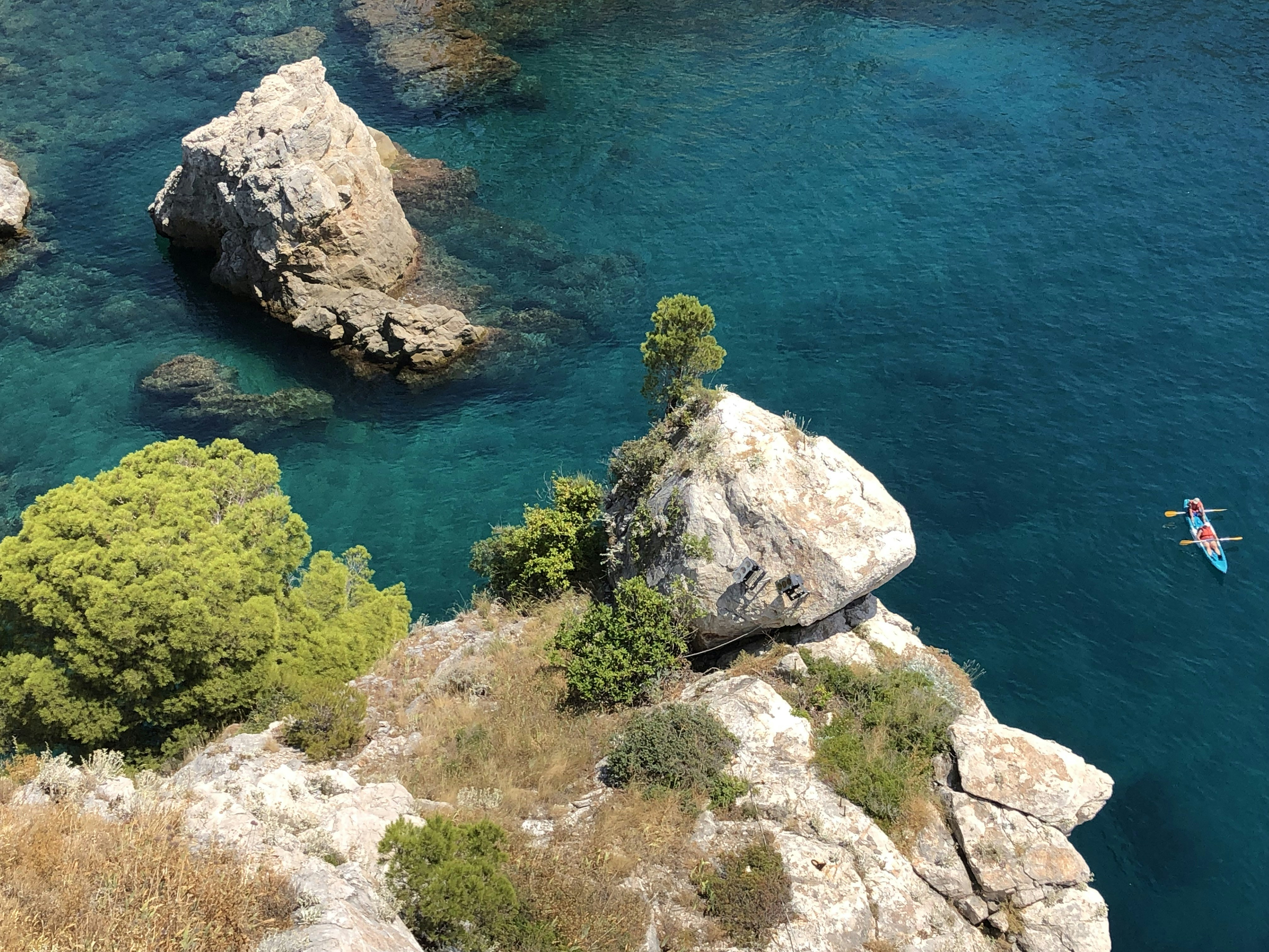 Green trees on gray rock formation beside blue sea during daytime