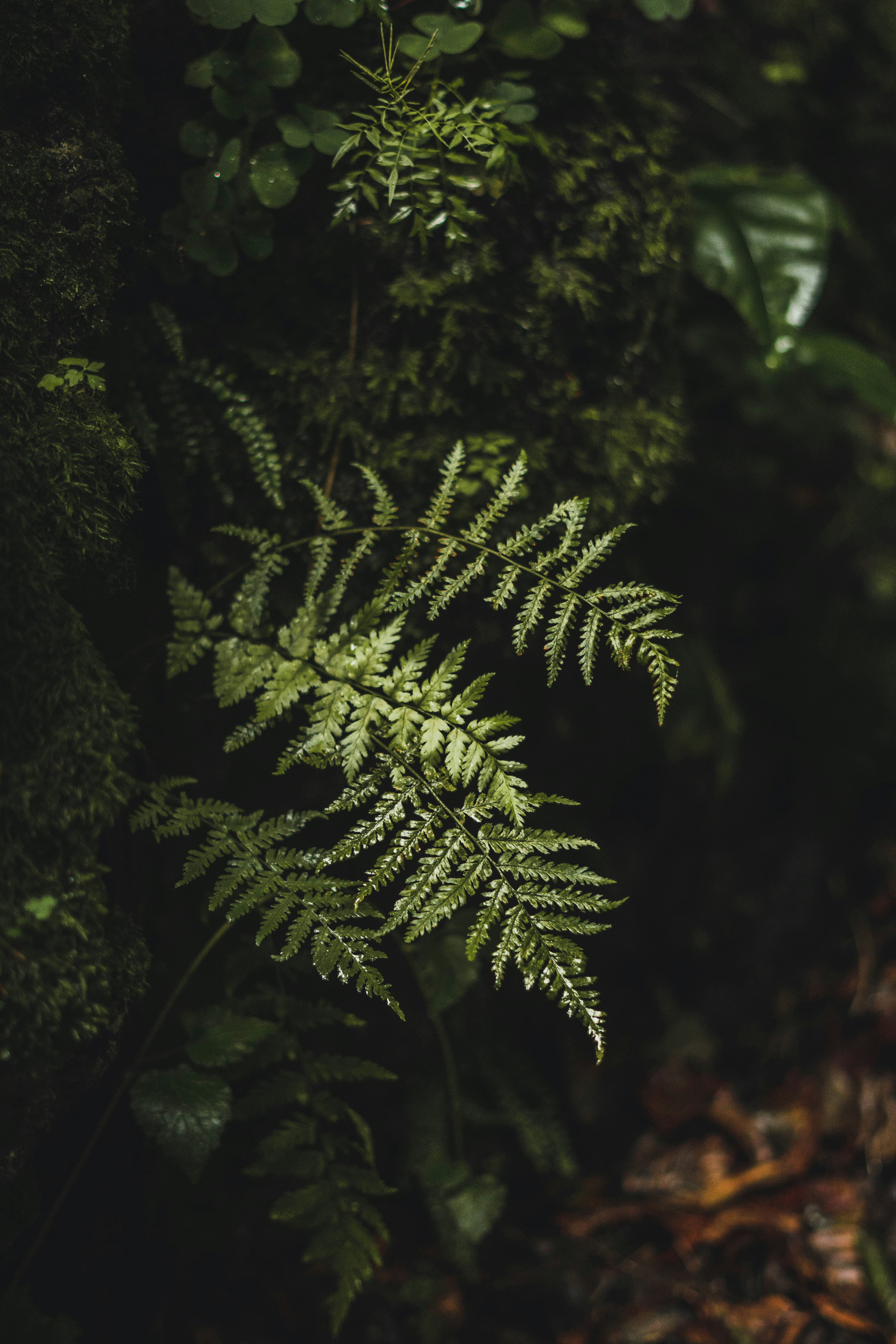 Photo by cristian_vieriu