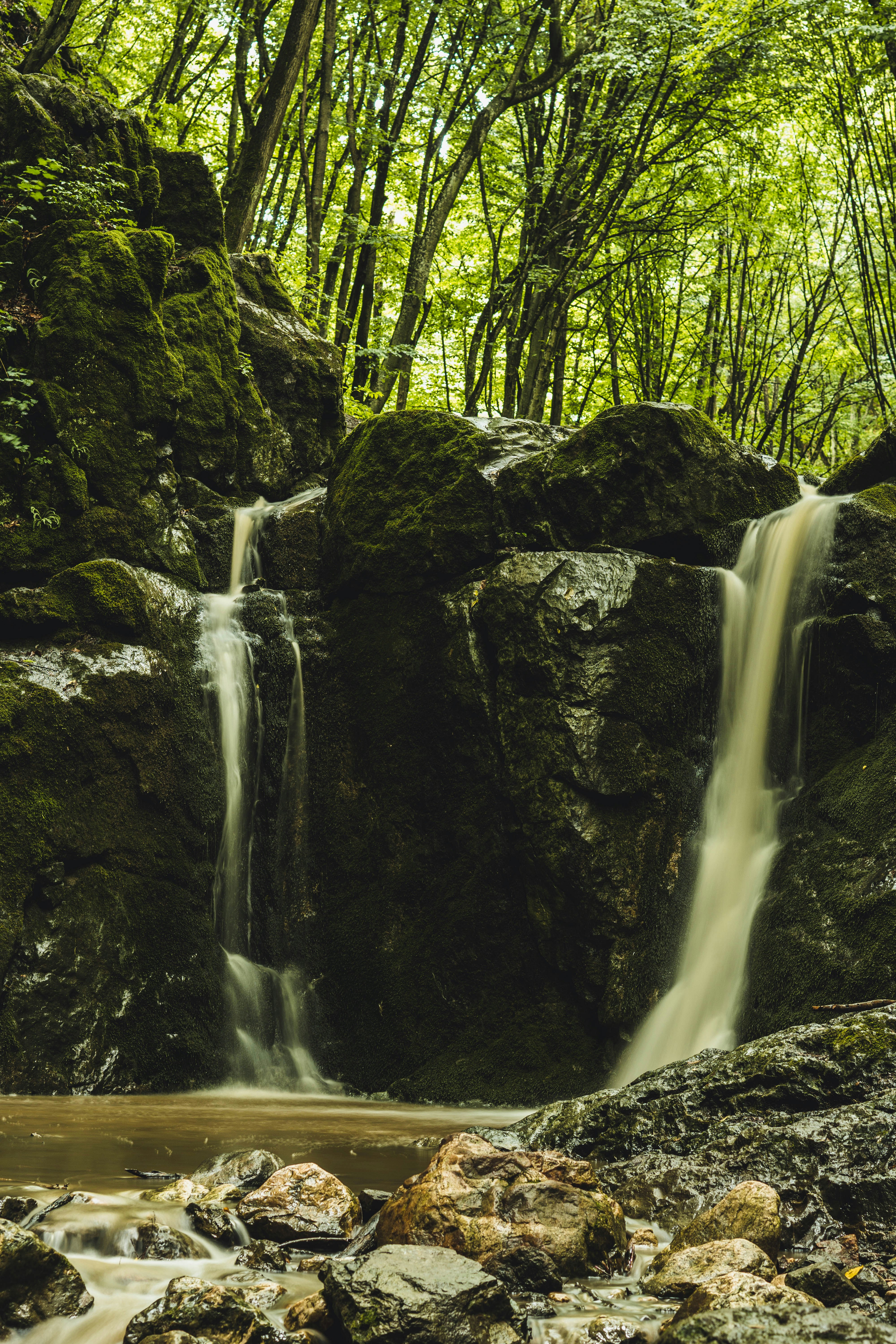 Photo by cristian_vieriu