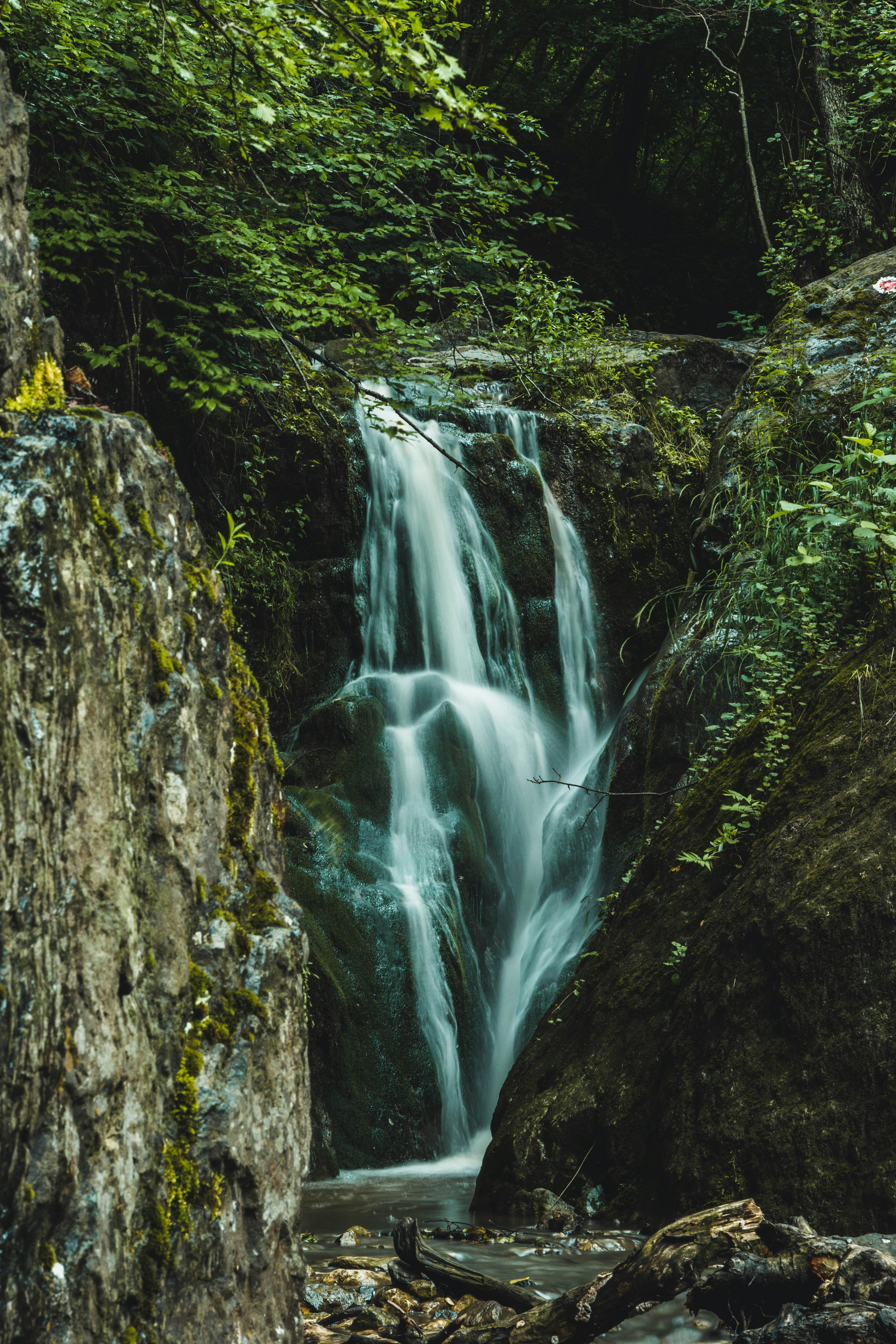 Photo by cristian_vieriu