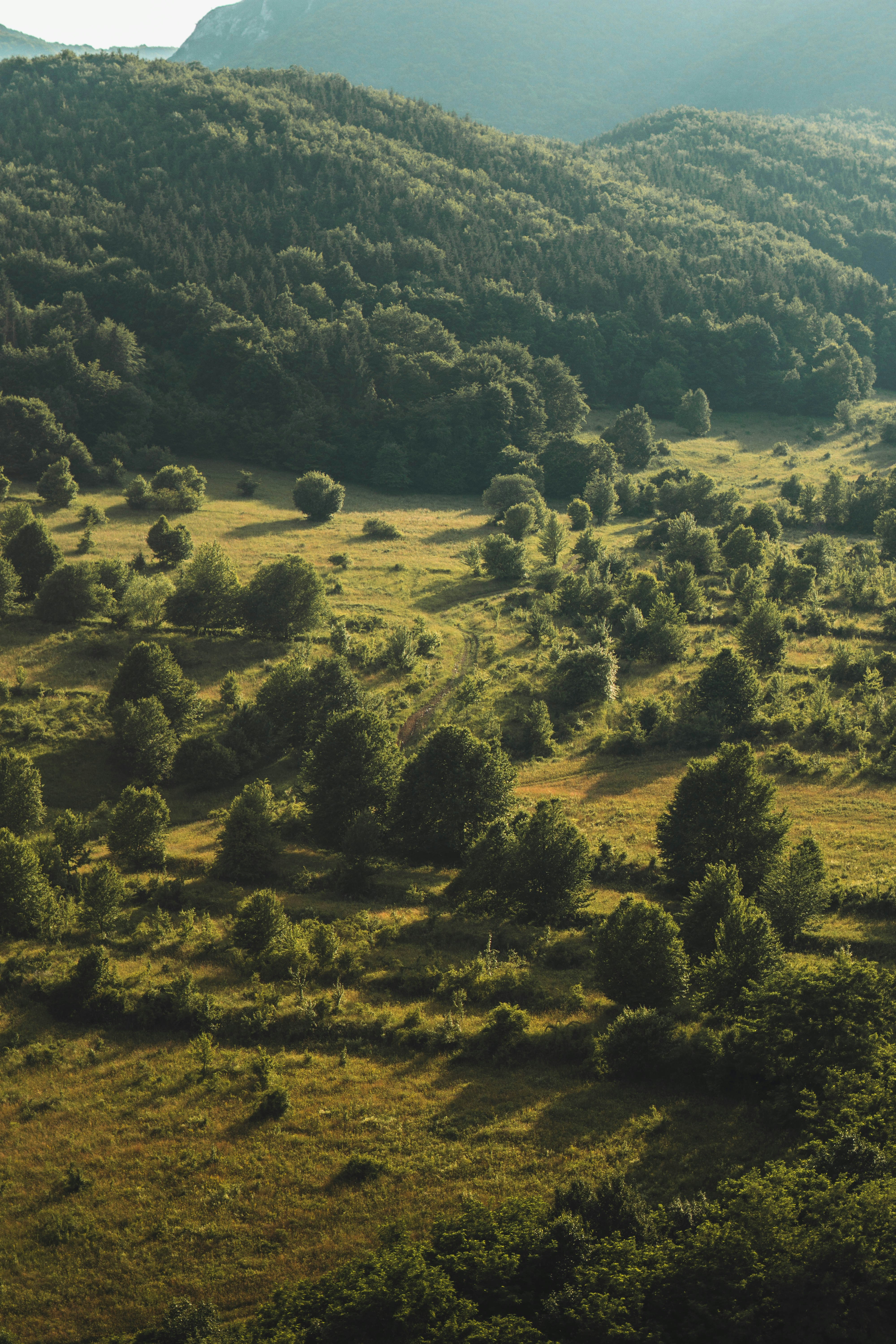 Photo by cristian_vieriu