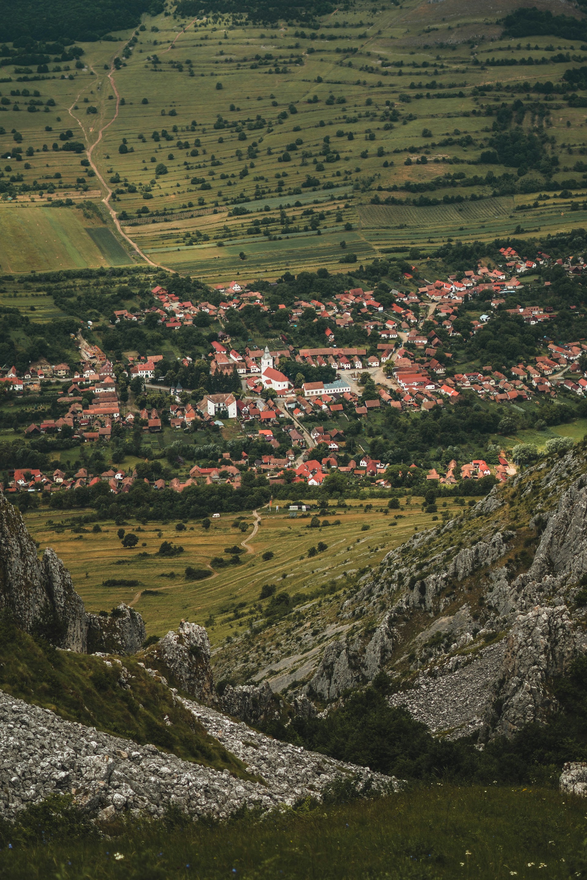 aerial view of village on green grass field during daytime