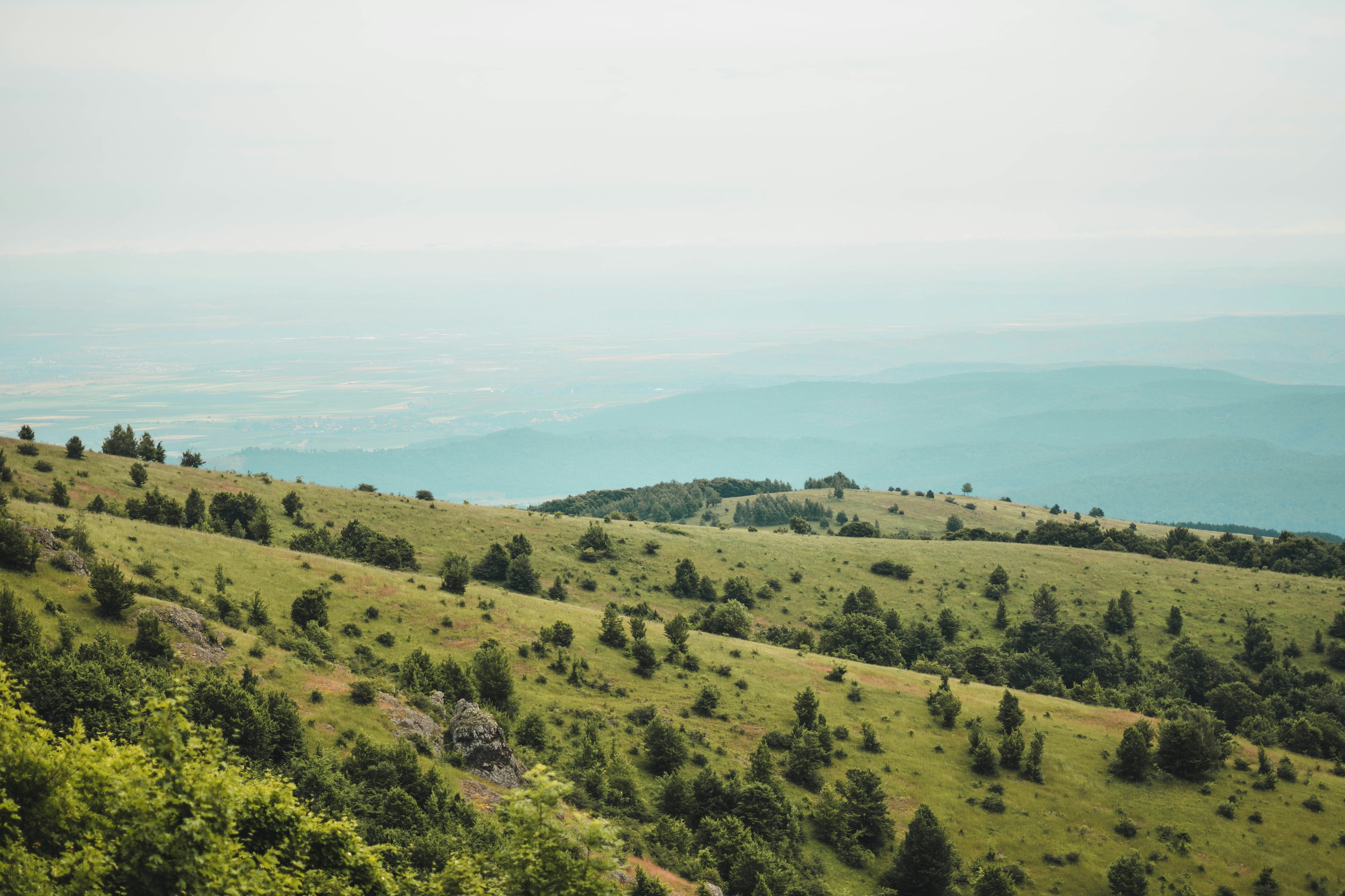 green grass field under white sky during daytime