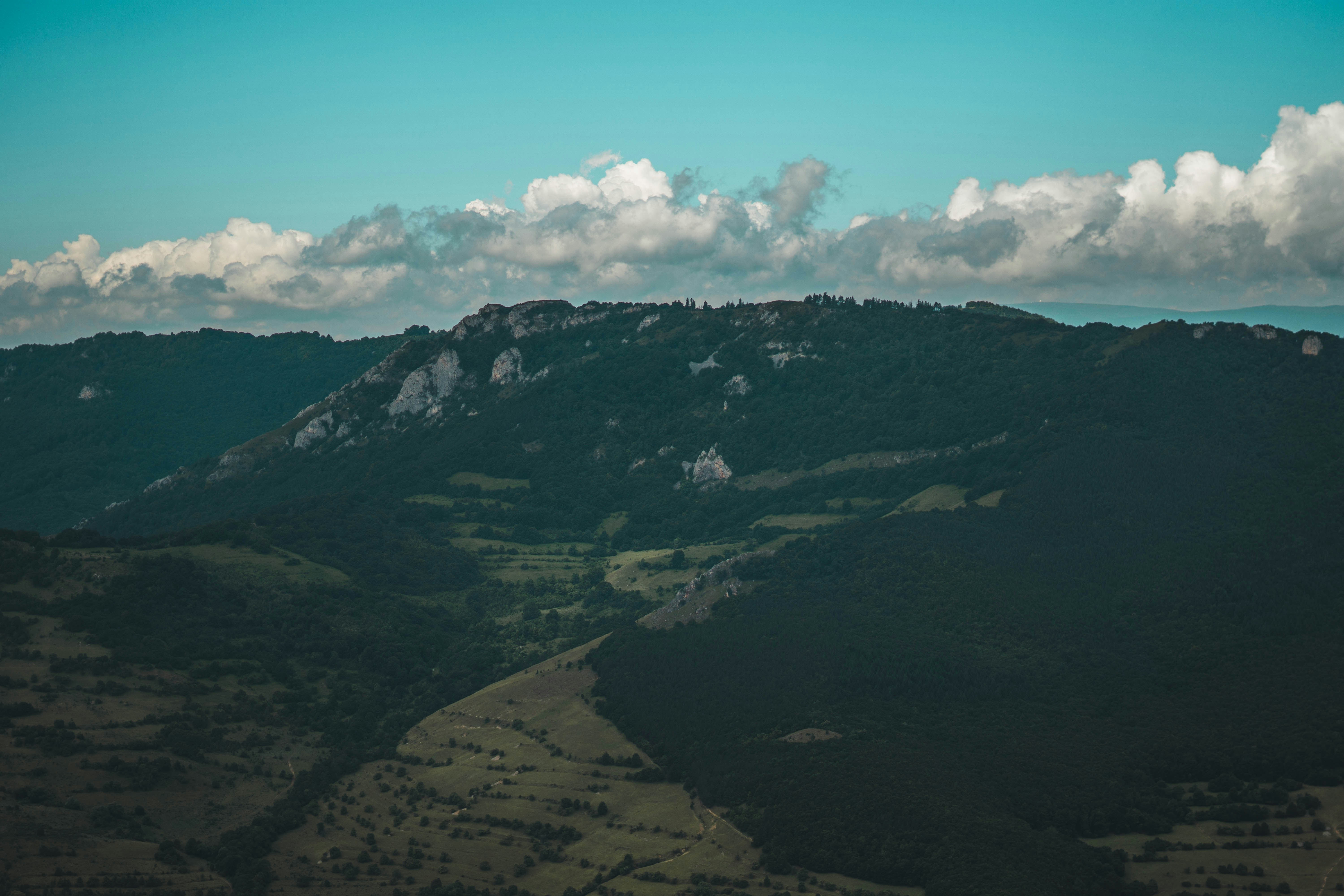 Photo by cristian_vieriu