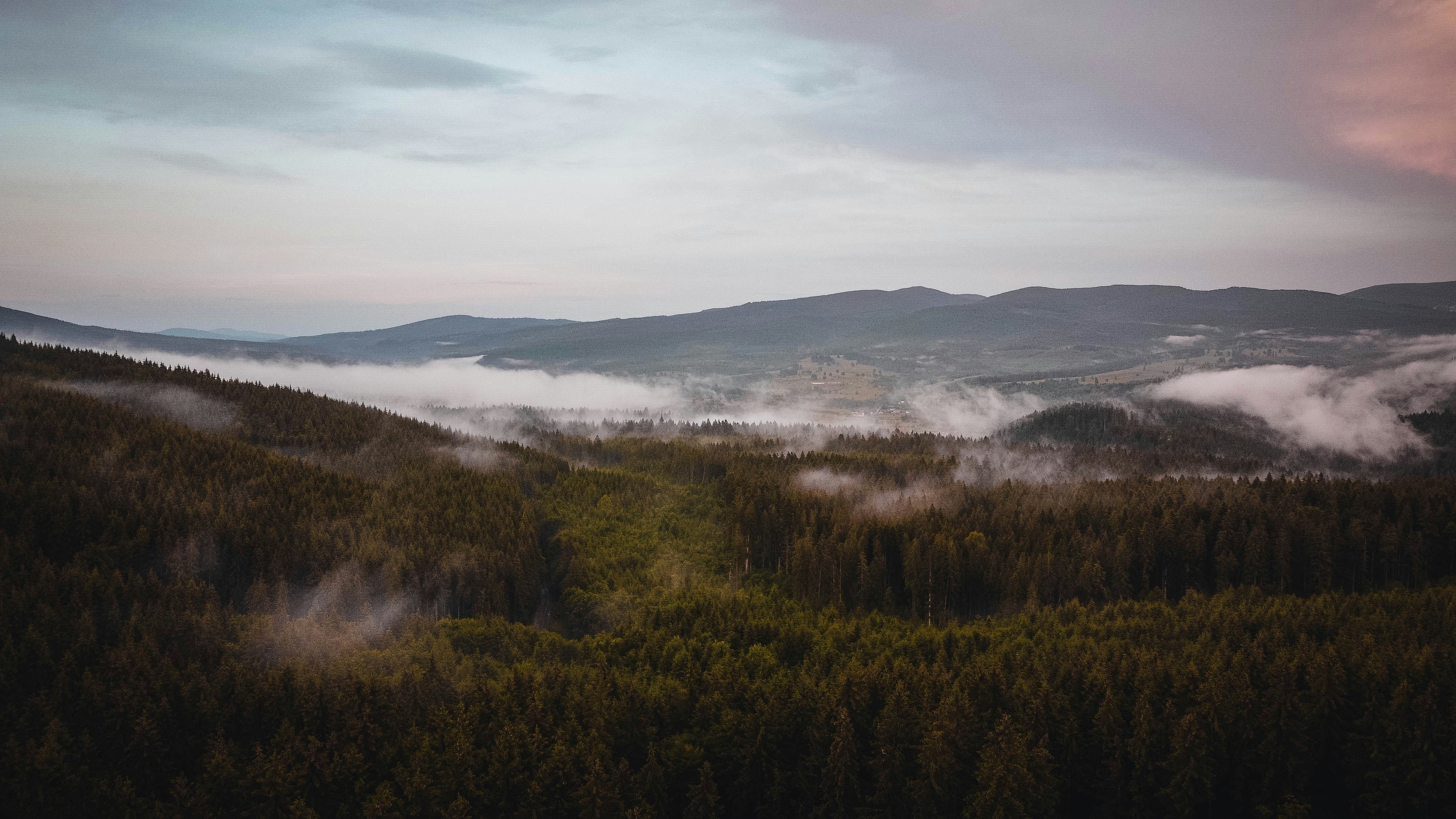 Photo by cristian_vieriu