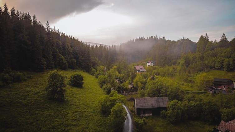 A serene countryside landscape featuring lush green hills and dense forests under a cloudy sky. Several rustic houses are nestled among the trees. Mist hovers above the trees in the distance, adding a touch of mystery to the scene.