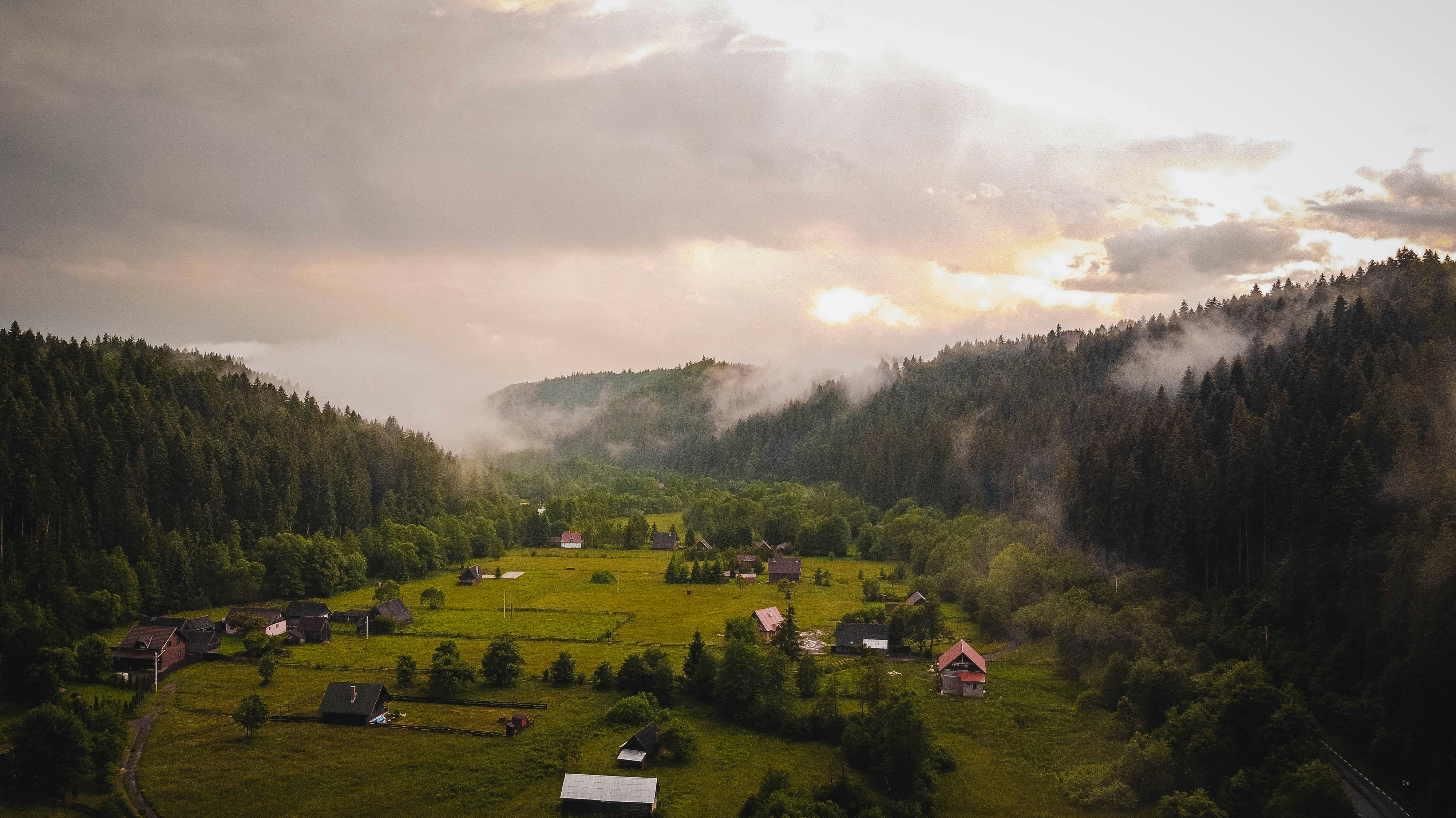 Photo by cristian_vieriu