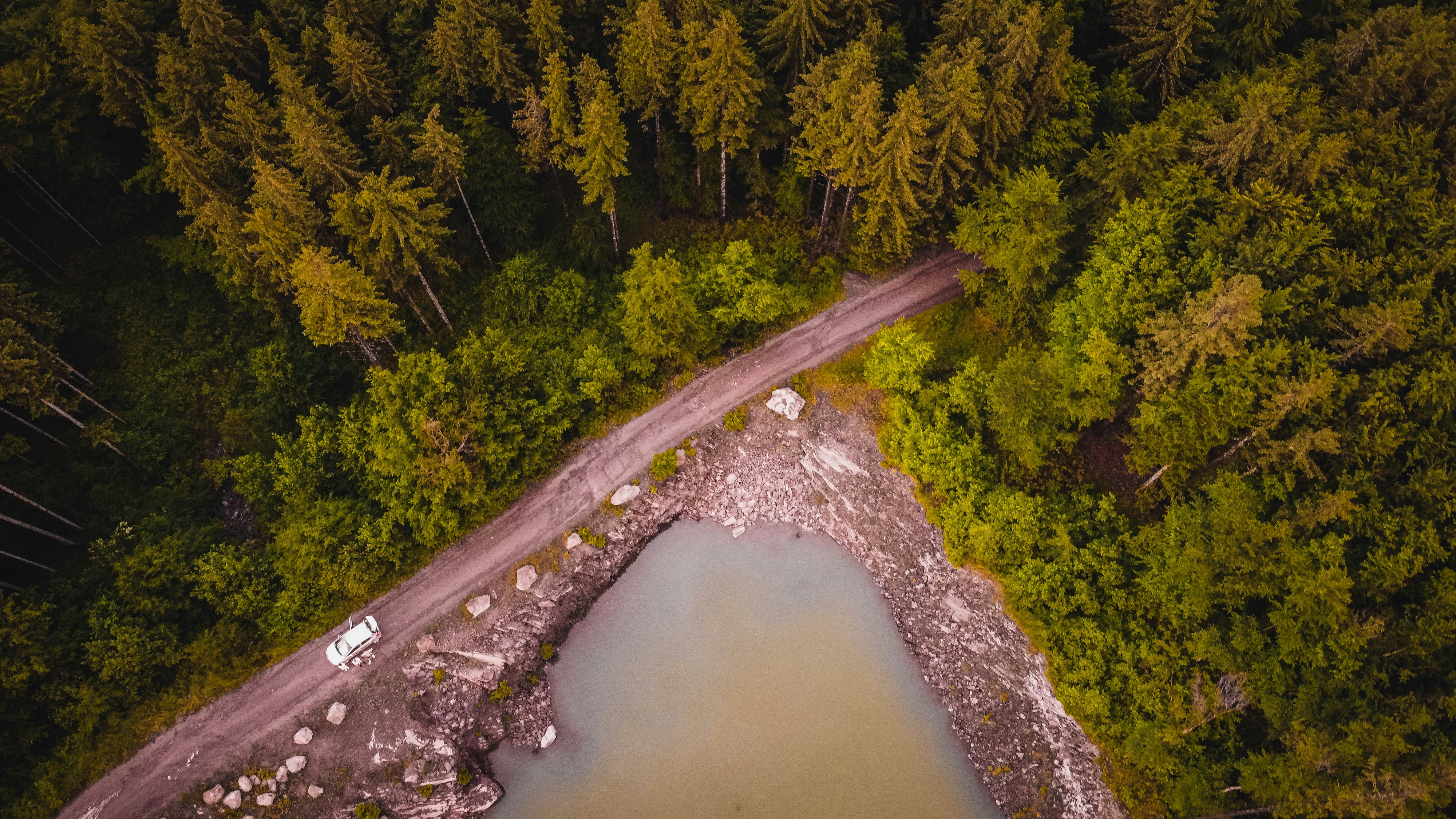A small, dense forest area symbolizing the Mini Forest Project.