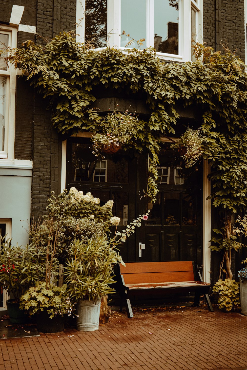 brown wooden bench beside green plant