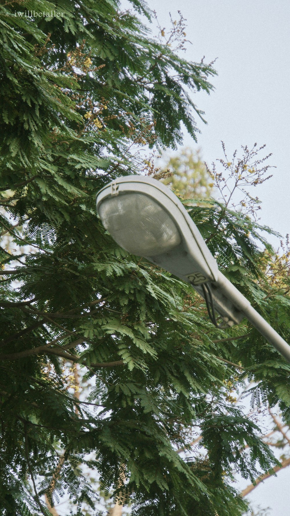 white and gray outdoor lamp