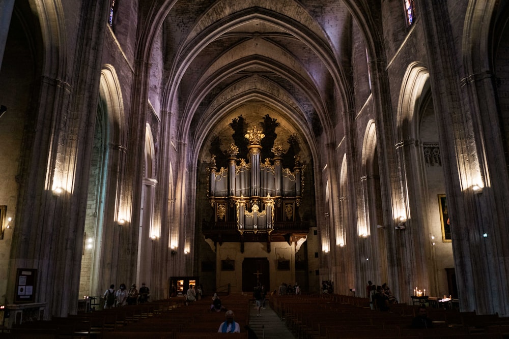 people inside cathedral during daytime