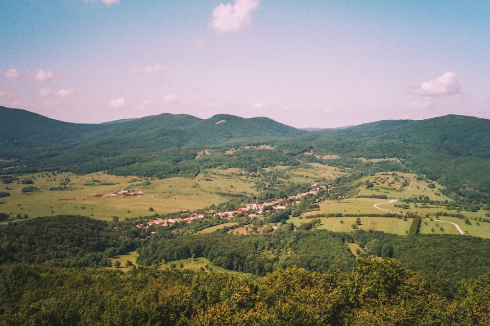 green trees and mountain under blue sky during daytime