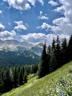 Wide-angle view of the ranch’s lush green lawn bordered by wildflowers and towering pine trees