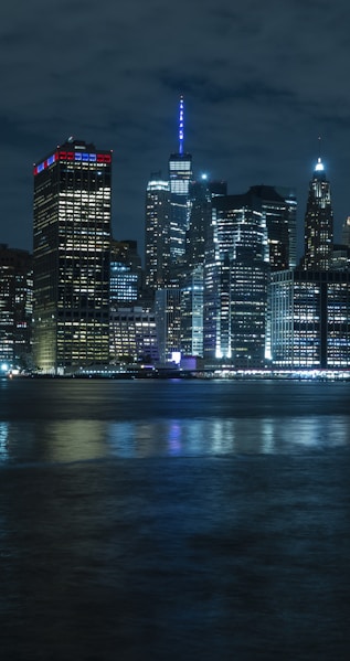 city skyline during night time