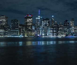 city skyline during night time