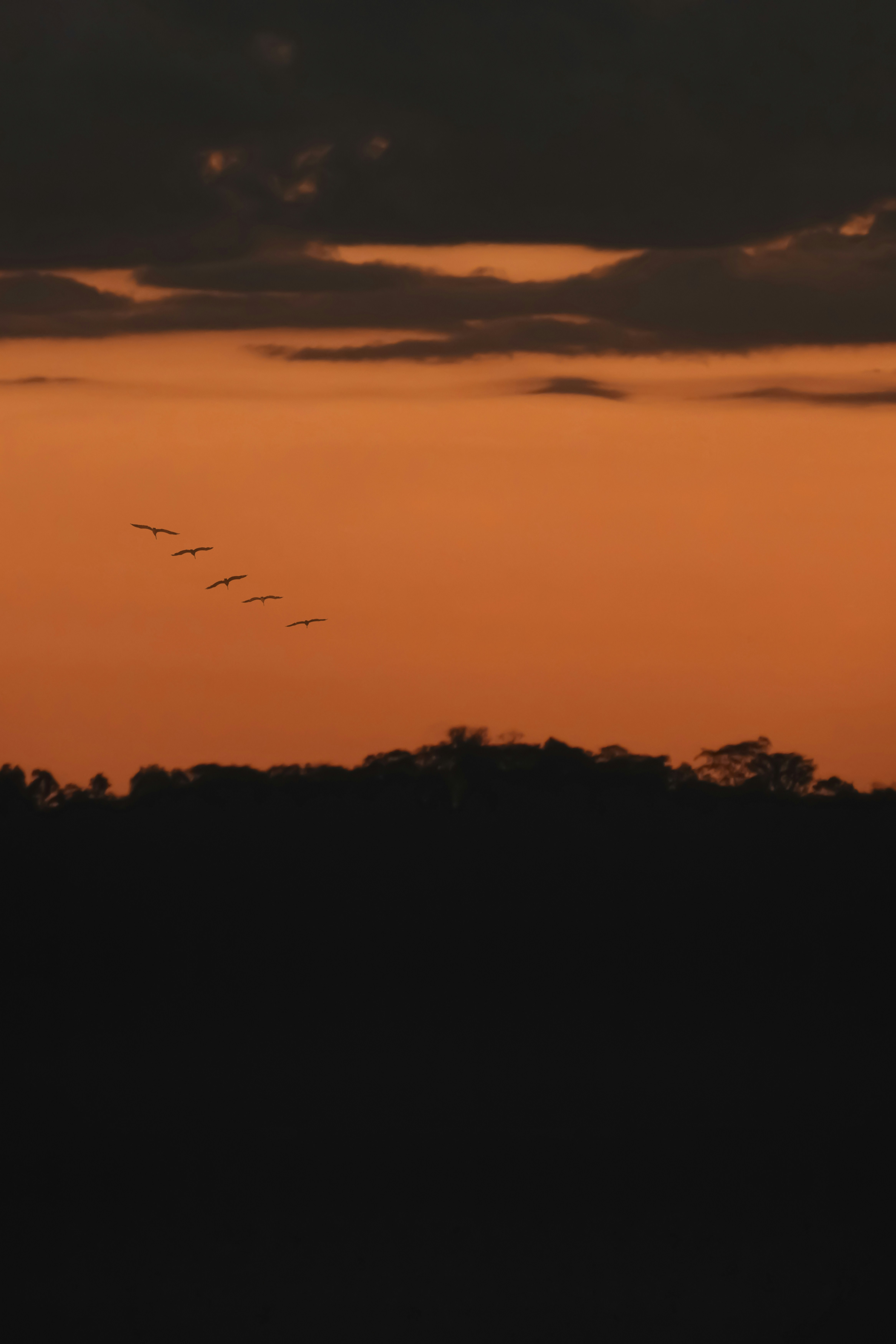 Photo by allecgomes