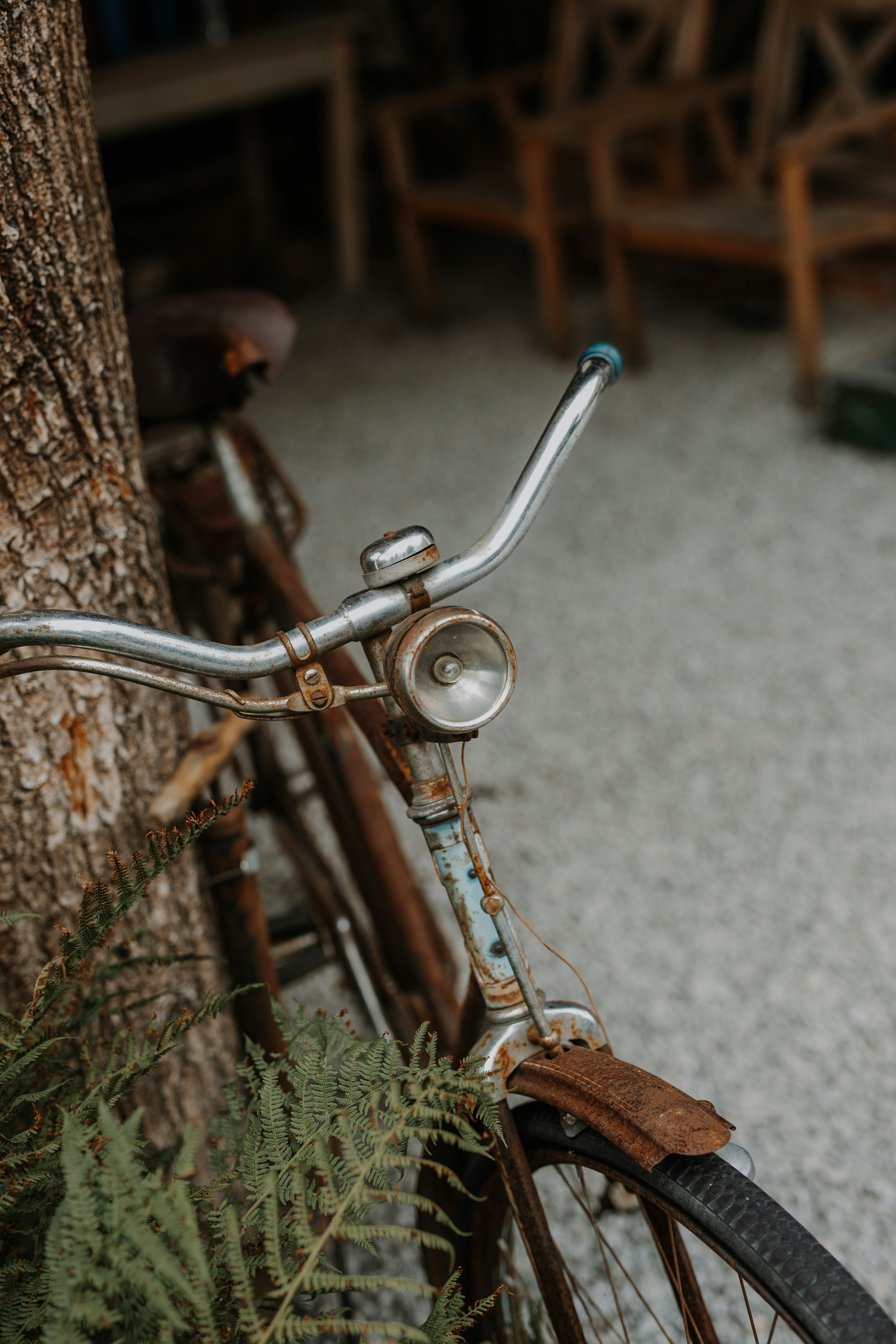 Photo by annabellalifestyle