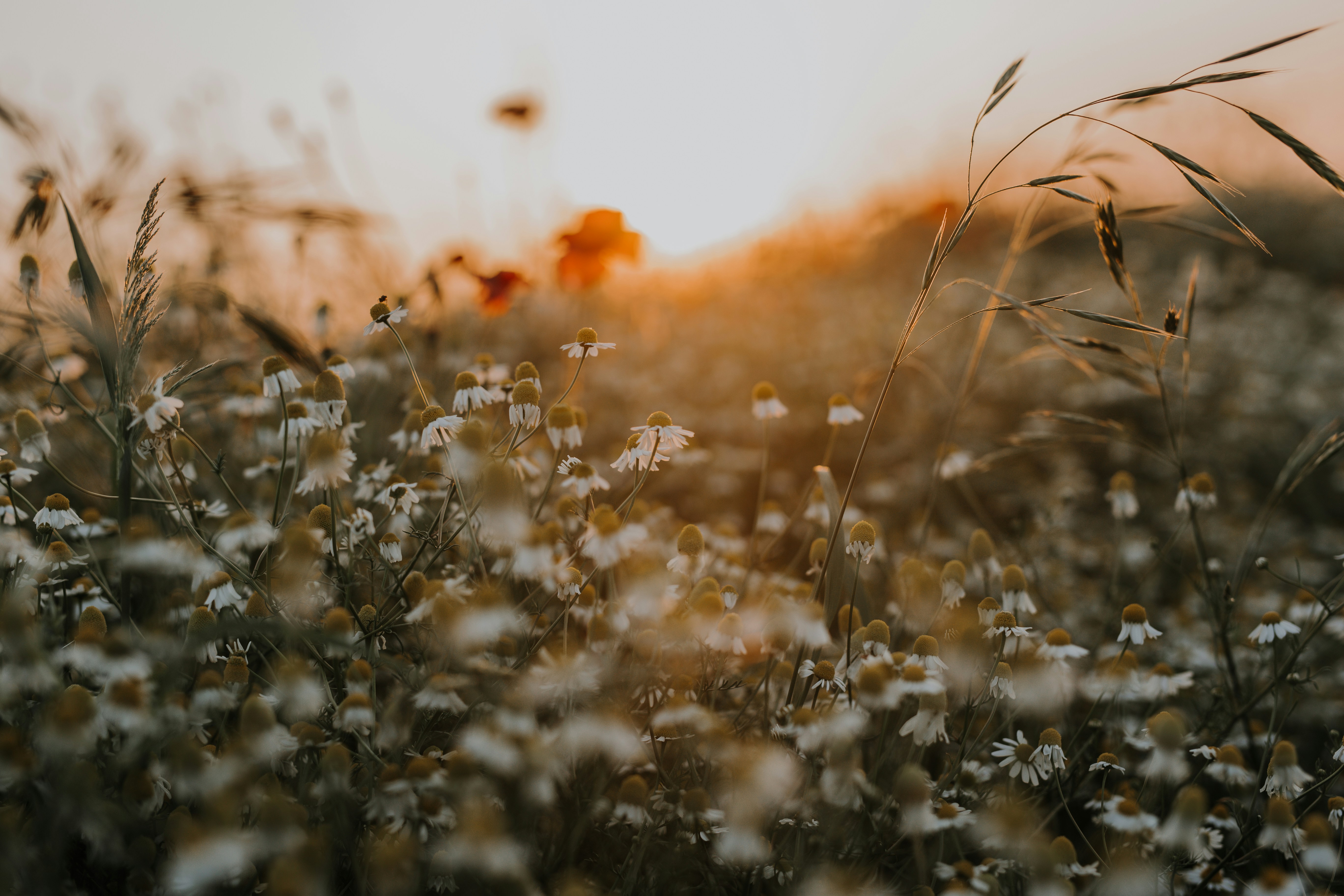 Photo by annabellalifestyle